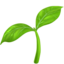 🌱 🌱