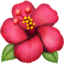 🌺 🌺