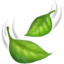 🍃 🍃