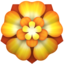 :rosette: 🏵