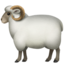 🐑 🐑