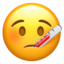 🤒 🤒