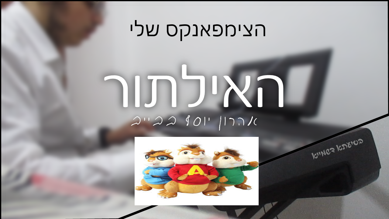 צימפ.png