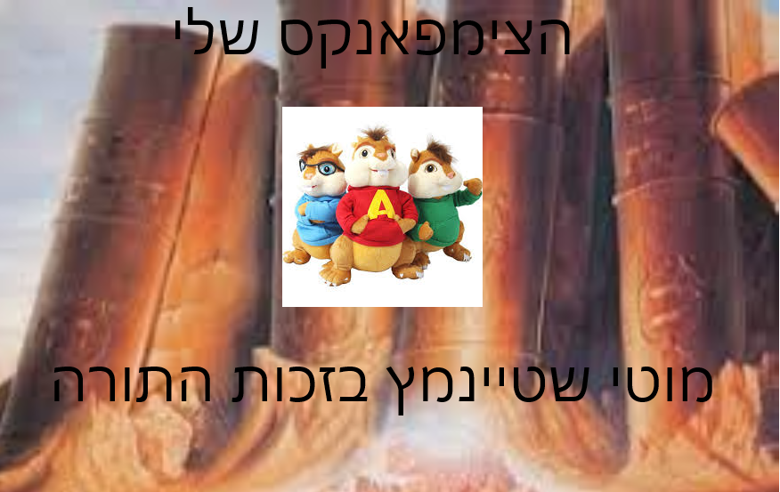 מוטי.png