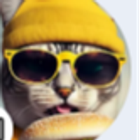 מוח שליט על הלב