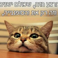 הדסוש 0