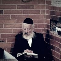 מוטי'ס חסיד